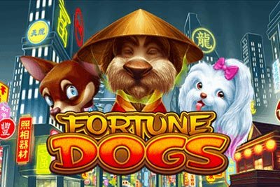สล็อต Fortune Dogs จากค่าย Habanero ที่มีในเว็บ Ambbet999.3